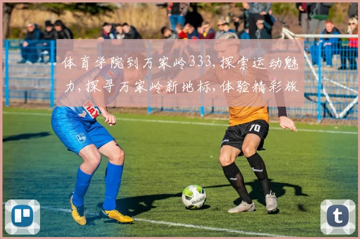 体育学院到万家岭333,探索运动魅力,探寻万家岭新地标,体验精彩旅程,一游非凡。