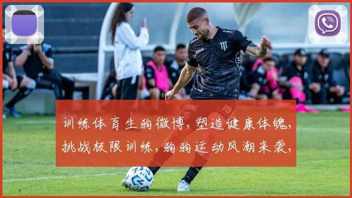 训练体育生狗微博,塑造健康体魄,挑战极限训练,狗狗运动风潮来袭,
