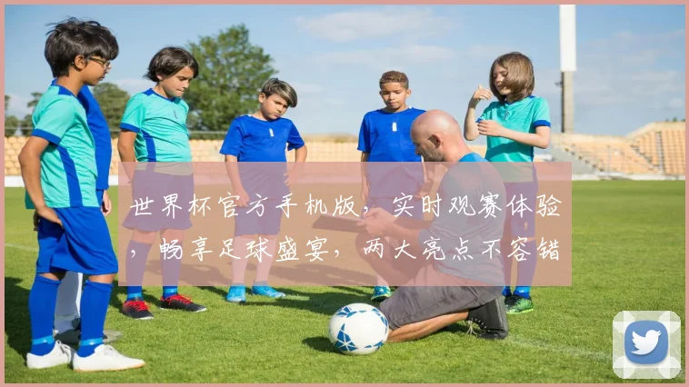 世界杯官方手机版，实时观赛体验，畅享足球盛宴，两大亮点不容错过，速来下载