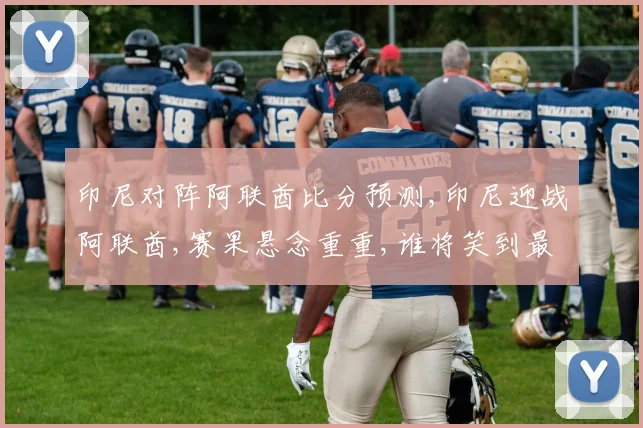 印尼对阵阿联酋比分预测,印尼迎战阿联酋,赛果悬念重重,谁将笑到最后