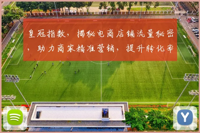 皇冠指数，揭秘电商店铺流量秘密，助力商家精准营销，提升转化率，实现业绩飞跃